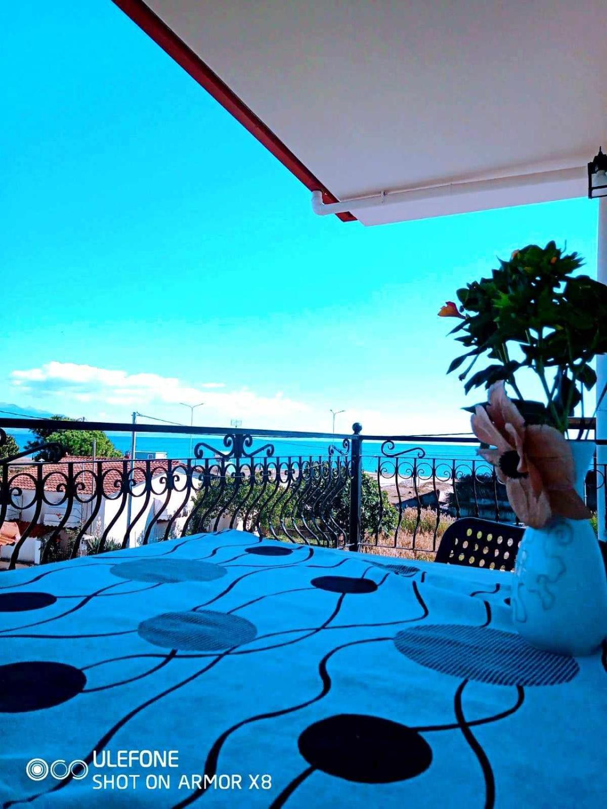 Villa Camellia *